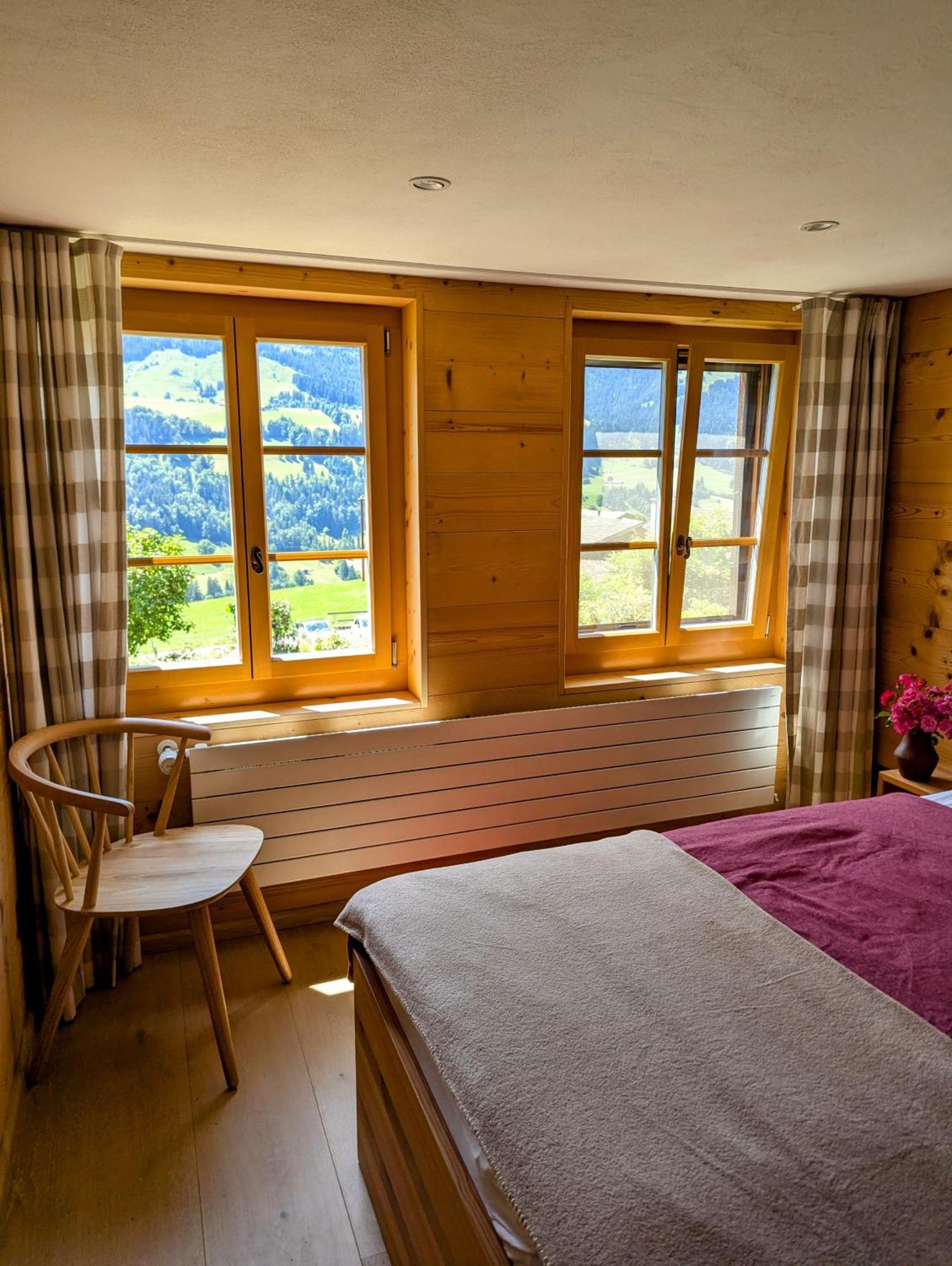 Swiss Mountain-valley View