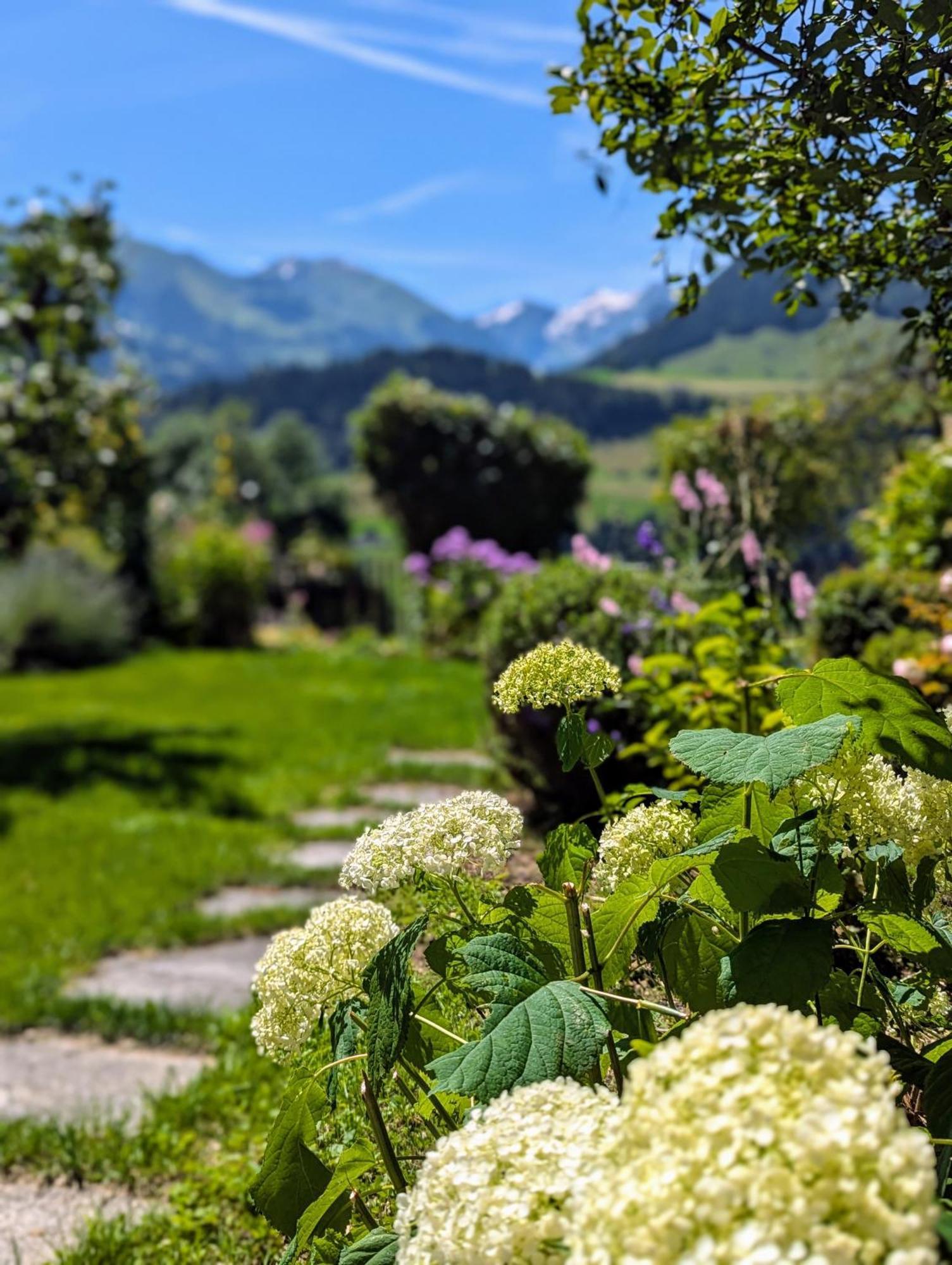 Swiss Mountain-valley View *