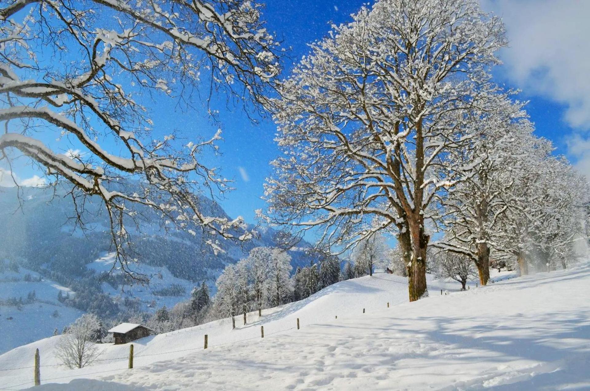 Swiss Mountain-valley View Prázdninový dům *