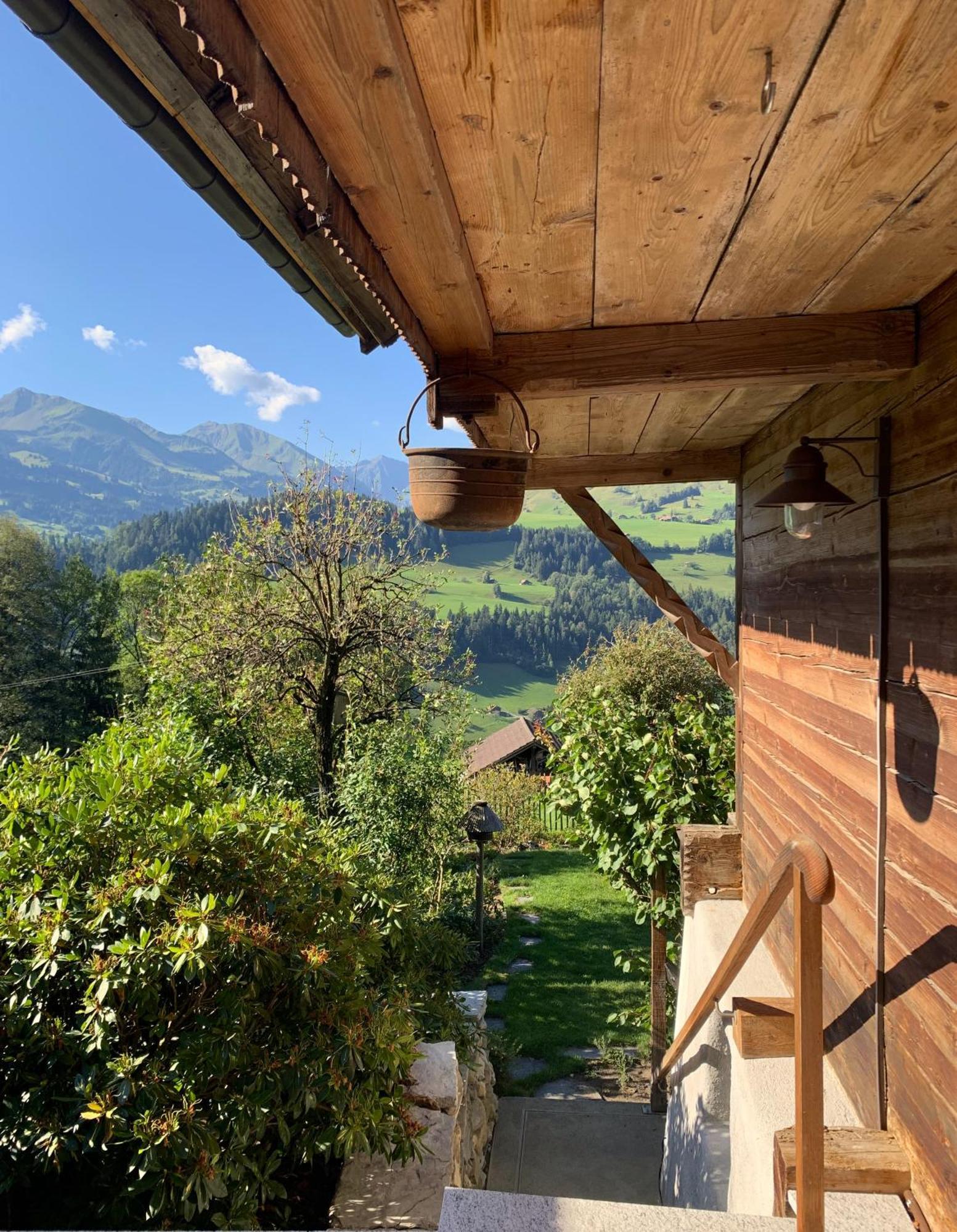 Swiss Mountain-valley View *